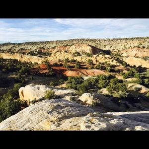 Meet your Posher, Casey